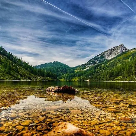 Daire Popp'n Angerl *