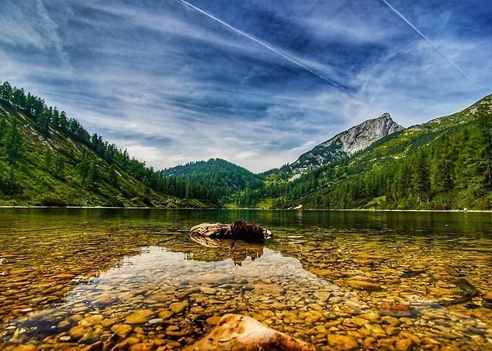 Appartement Popp'n Angerl *